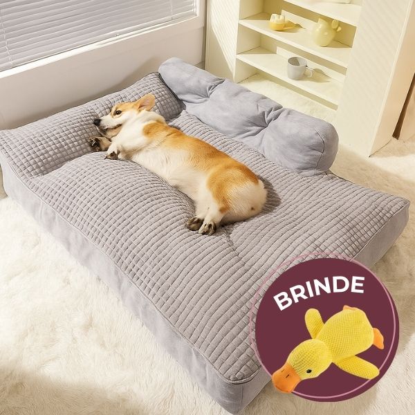 Dormipet - Cama Casinha Para Pets Macia Antiderrapante + BRINDE